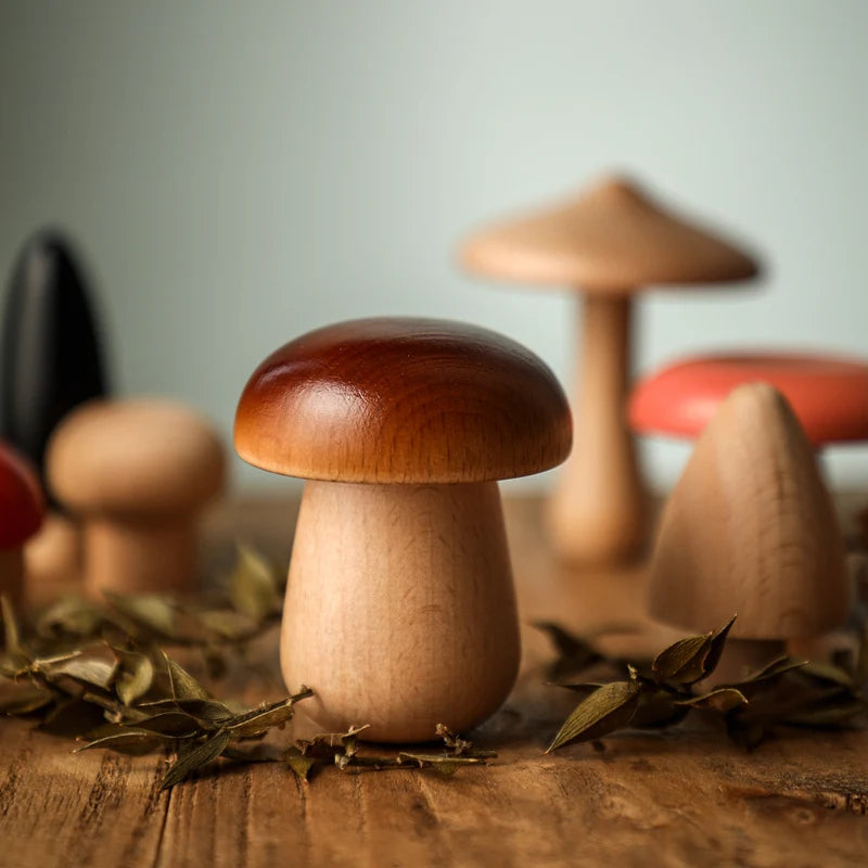 Jeu d’eveil Champignon - Set de Champignon Bois - Jeu D’eveil bébé