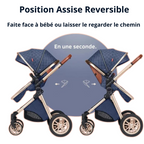Poussette 3 en 1 Elegance