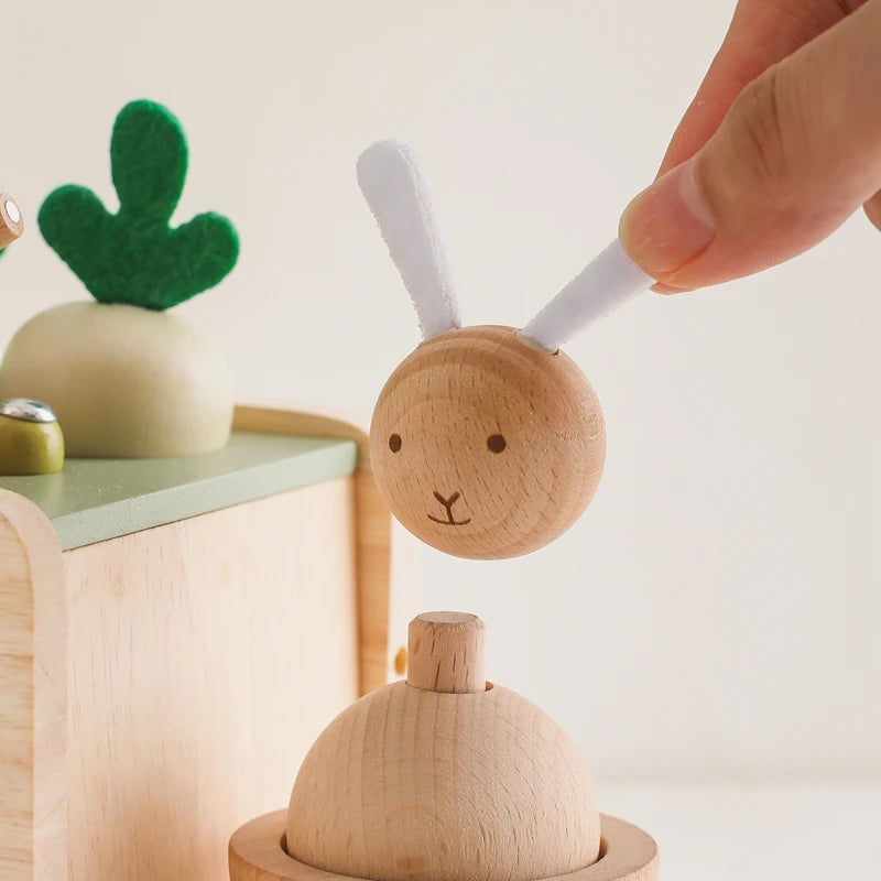 Jouet Fruit et Légume - Fruit et Légumes