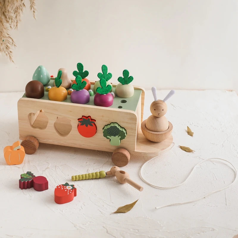 Jouet Fruit et Légume - Fruit et Légumes