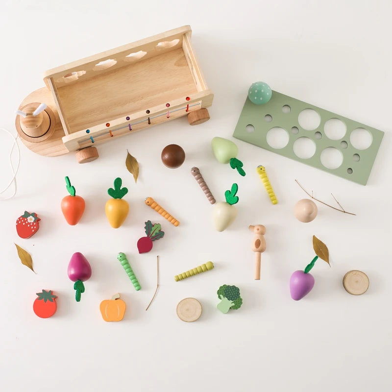Jouet Fruit et Légume - Fruit et Légumes