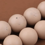 Attache Tetine Bois - Attache tétine